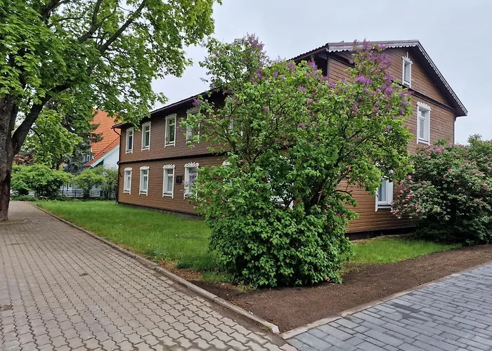 Modern Best Located One Bed Flat Max 3 Person Included Kids No Bicycle Space